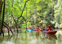 Krabi: Nature exploring