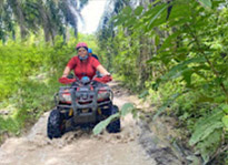 Krabi: Nature exploring