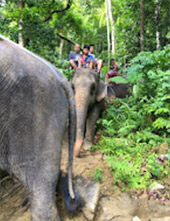 Krabi: Nature exploring