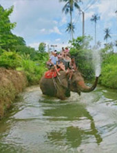 Krabi: Nature exploring