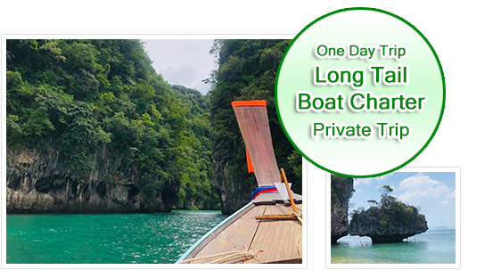 Long Tail Boat Charter