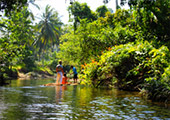 3 Days 2 Nights Khao Sok+Chiewlarn Lake