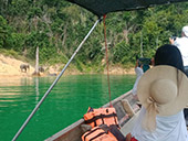 3 Days 2 Nights Khao Sok+Chiewlarn Lake