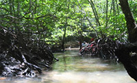 One Day Lanta Island Discovery One Day Lanta Island Discovery