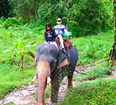 One Day Lanta Island Discovery