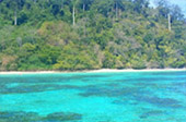 One Day Tour Koh Rok by JC Tour