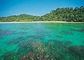 One Day Tour Koh Rok by JC Tour