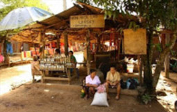 The Cave and Waterfall: Luang Prabang Tour