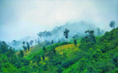 River Cruise: Chiang Rai -Luang Prabang