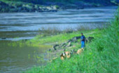 River Cruise: Chiang Rai -Luang Prabang