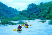 The Kayaking: Day Trip