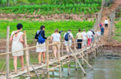 River Cruise: Pakse Mekhong Cruise