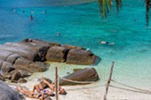 Longtail Boat Charter Turtle Coral Nangyuan