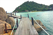 Longtail Boat Charter Turtle Coral Nangyuan