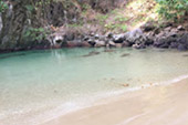 Longtail Boat Charter From Koh Lanta