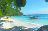 Longtail Boat Charter PP Island