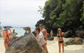 LONGTAIL AND BAY: PHI PHI ISLAND