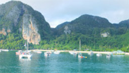 LONGTAIL AND BAY: PHI PHI ISLAND