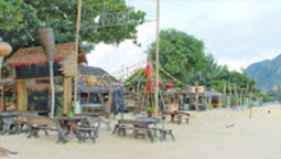 LONGTAIL AND BAY: PHI PHI ISLAND