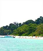 Special Promotion The Green Mangoes and Similan Tachai Island by JC Tour