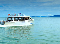 Special Promotion The Green Mangoes and Similan Tachai Island by JC Tour