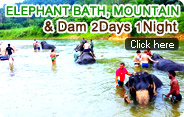 2Days1Night Elephant Bath Mountain and Dam