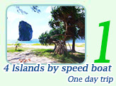 4 Islands by speed boat