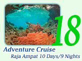 Adventure Cruise. 10 Days 9 Nights