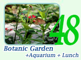 Botanic Garden and Aquarium and Lunch