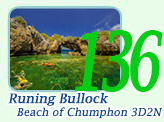Running Bullock Beach of Chumphon