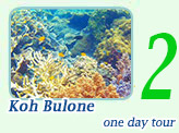 Koh Bulone One Day Tour