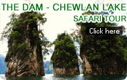 The Dam - Chewlan Lake Safari Tour The Dam - Chewlan Lake Safari Tour
