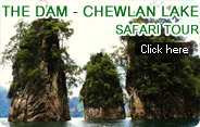 The Dam - Chewlan Lake Safari Tour