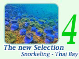 The new Selection of snorkeling - Thai Bay
