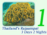 Thailand's Rajaampat. 3 Days 2 Nights