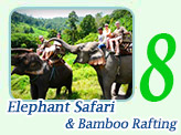 Elephant Safari and Bamboo Rafting