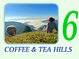 Coffee & Tea Hills