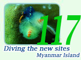 Diving Myanmar Nyuang Oo Phee Island