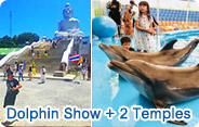 Dolphin Show and 2 Temples