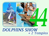 Dolphin Show and 2 Temples