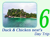 One Day Trip: Duck and Chicken nest's Islands.