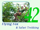 Flying Fox and Safari Trekking