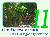 The Forest Breath: 2 Days 1 Nights, Jungle experience