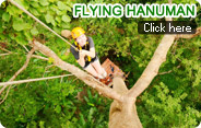 Flying Hanuman