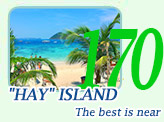 Hay Island,  the best is near