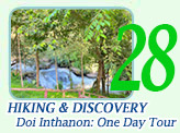 Hiking and Discovery Doi Inthanon