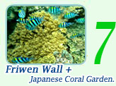 Friwen Wall and Japanese Coral Garden