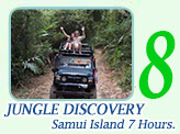 Jungle Discovery: Samui Island