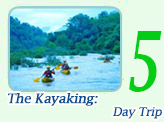 The Kayaking: Day Trip