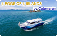 Catamaran - 3 Eggs of 3 Islands Catamaran - 3 Eggs of 3 Islands